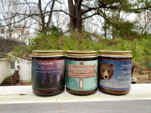 Load image into Gallery viewer, Appalachian Trail Candle
